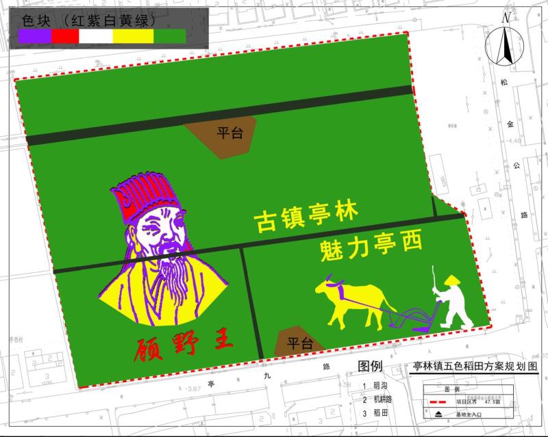 北斗卫星神定点，五彩水稻绘传奇
