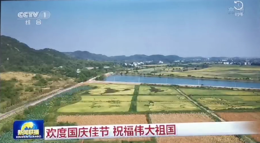 上央视-腾龙国际五彩稻田画，助力乡村振兴